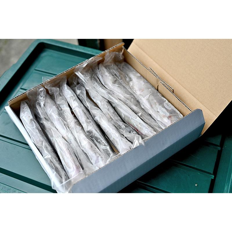 送料無料 渓流の女王 ヤマメ ヤマメ 山女魚 山女 やまめ 川魚 日本産 国産 栃木産 栃木県産 Ws 04 もんみや通販 通販 Yahoo ショッピング