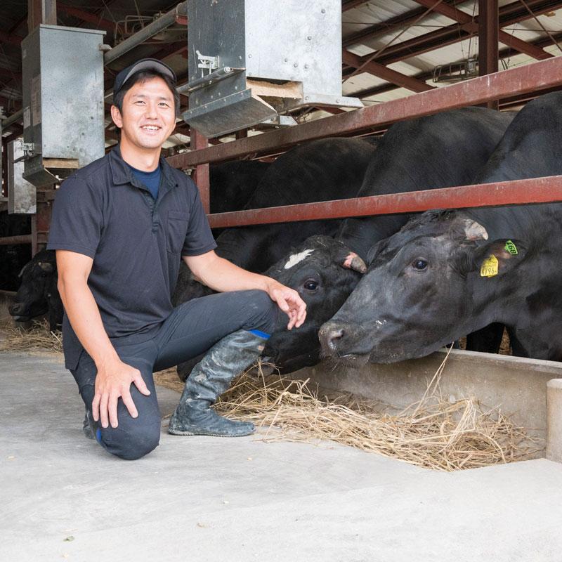 送料無料 足利マール牛上カルビ400g 足利マール牛カルビ400g 肉 牛肉 焼き肉 カルビ肉 06 もんみや通販 通販 Yahoo ショッピング