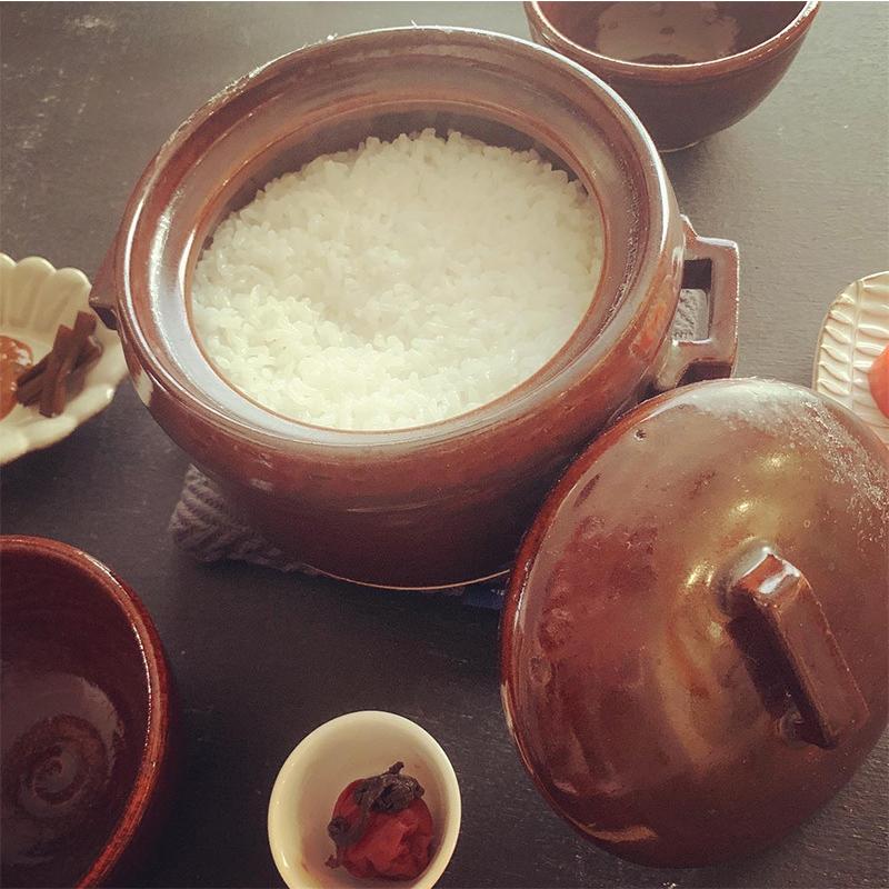 送料無料】とちぎの星（精米）10kg｜新米 米 10kg 令和6年産 とちぎの