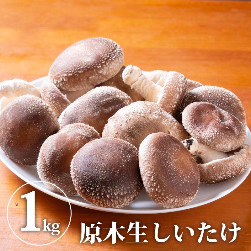 しいたけ様 リクエスト 3点 まとめ商品 コーデ売り まとめ売り