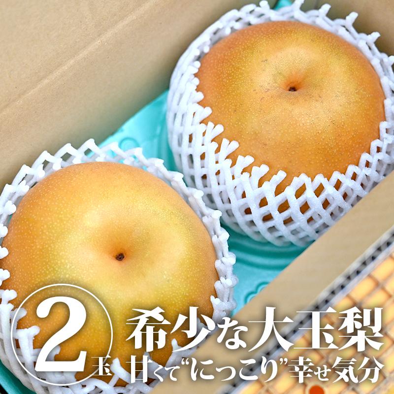 梨 秀品 2玉(大玉) 送料無料 なし ナシ にっこり梨 果物 フルーツ 旬
