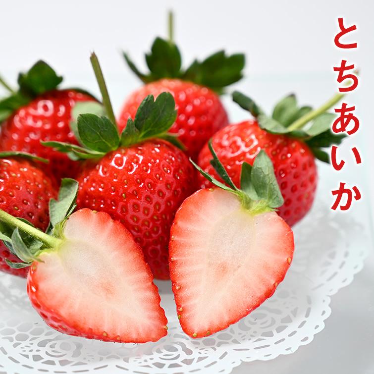 ⭐︎いちご農家より直送！とちあいか　規格外詰め合わせ　4kg 送料込⭐︎ No.11 いちご 苺 とちあいか ホール 詰め 350g x 1箱 (贈答用) ／栃木県産 T