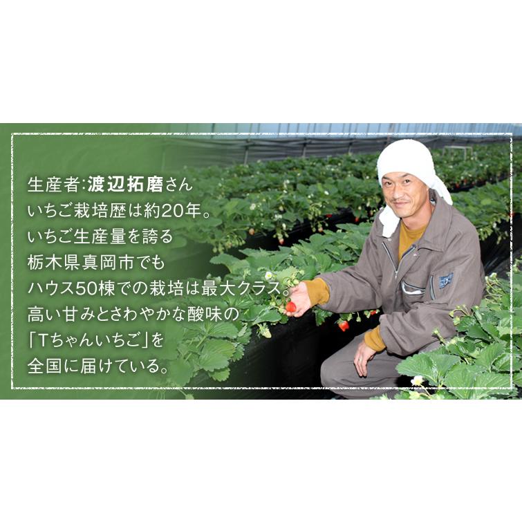 いちご 苺 イチゴ とちあいか ぎっしり詰め1.2kg x 1箱 /T いちご 苺 イチゴ とちあいか ぎっしり詰め1.2kg x 1箱 /T