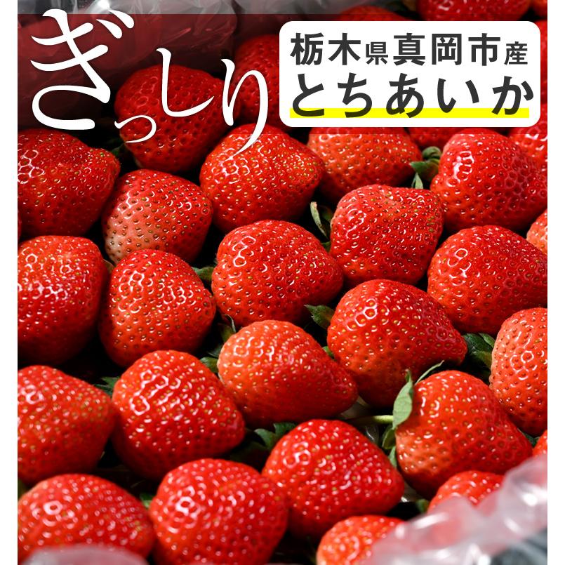 いちご 苺 イチゴ とちあいか ぎっしり詰め1.2kg x 1箱 /Tちゃんいちご 栃木県産 送料無料【BK】1104-70005610 : 70005610 : もんみや通販 - 通販 - Yahoo!ショッピング いちご 苺 イチゴ とちあいか ぎっしり詰め1.2kg x 1箱 /Tちゃんいちご 栃木県産 送料無料【BK】1104-70005610 : 70005610 : もんみや通販 - 通販 - Yahoo!ショッピング