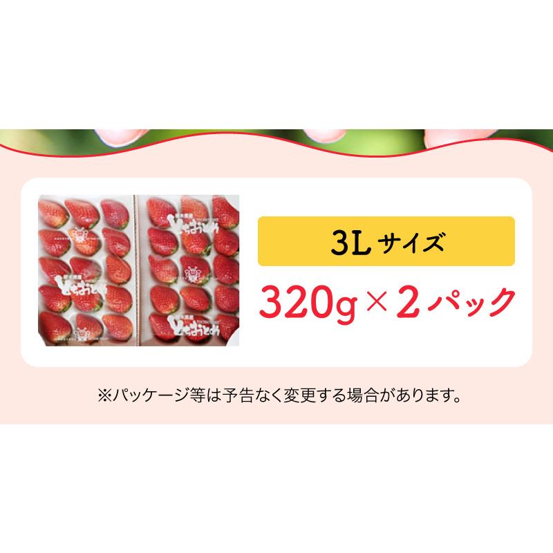 とちおとめ 3L 贈答用 (320g×2パック) ／栃木県産 山川農園 いちご 苺