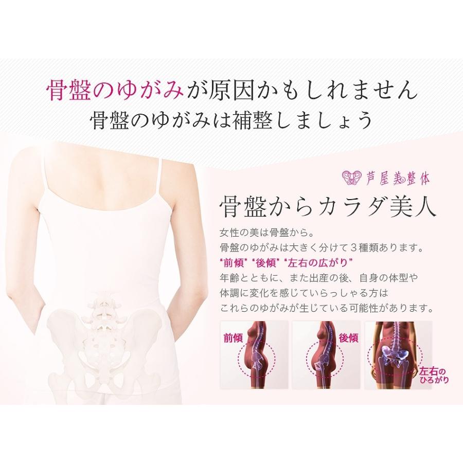芦屋美整体 あったか裏起毛 綿混やわらか骨盤スリムショーツ 2枚組 2020 骨盤矯正 | 芦屋美整体 | 06
