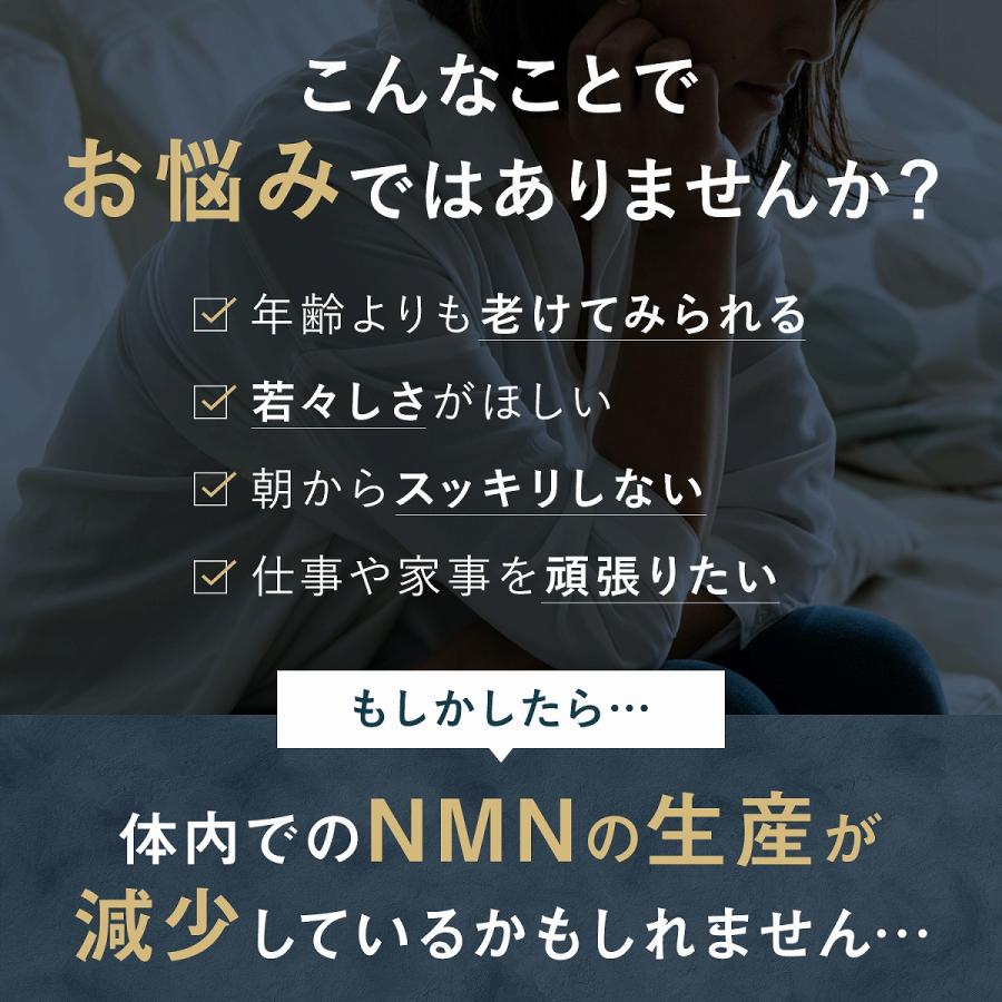 NMN サプリ サプリメント 23400mg 日本製 1粒260mg 高純度 100% 90カプセル コエンザイムQ10 マルチビタミン 着色料不使用｜mono-corporation｜04