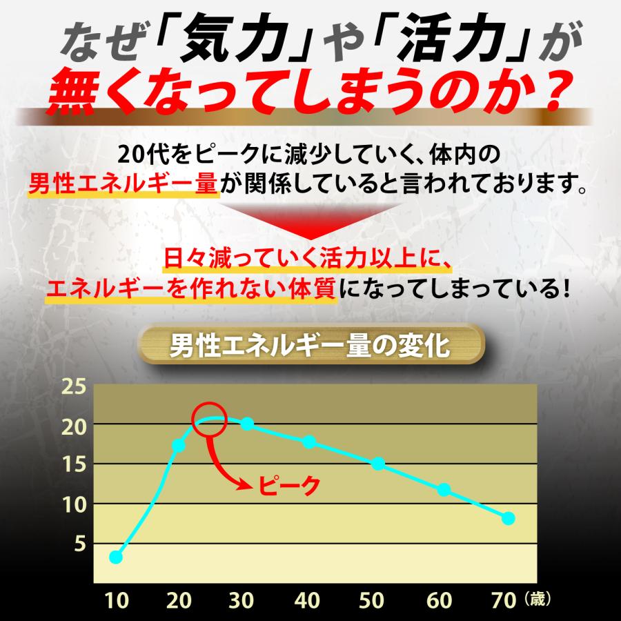 シトルリン アルギニン サプリ サプリメント マカ 亜鉛 厳選10種 30日分 180タブレット バイタルエナジー｜mono-corporation｜05