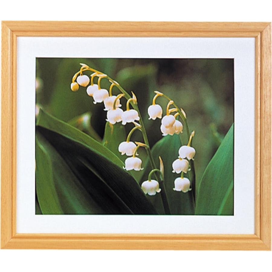 キング 木製額 V スズラン 6切 Vカット モノポケット Yahoo 店 通販 Yahoo ショッピング