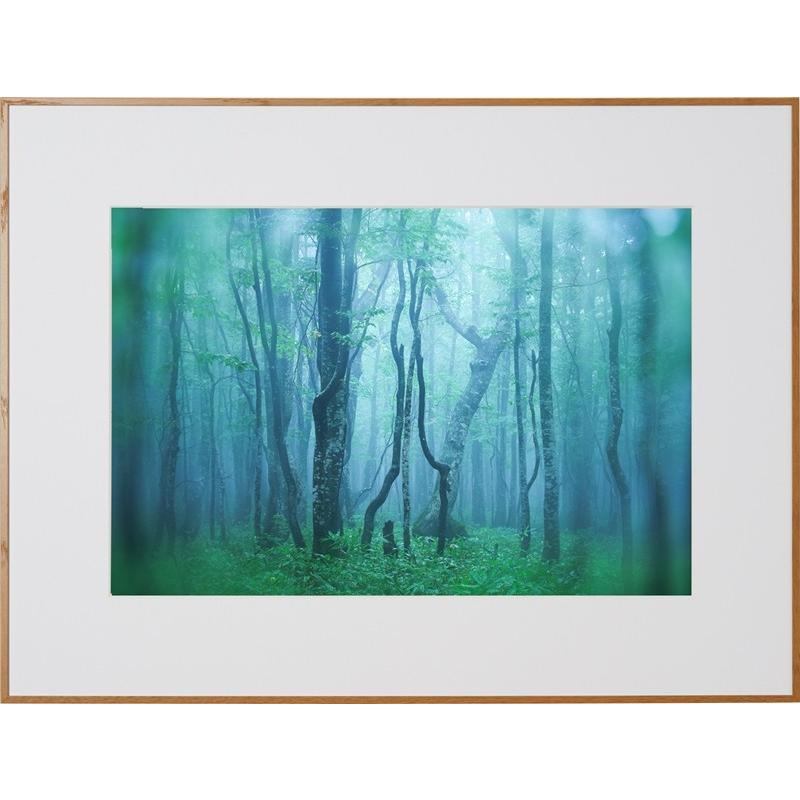 高級 おしゃれ 壁掛け 額縁 展示用 ケンコートキナー 写真額縁 ギャラリー A3ノビ ナチュラル フォトフレーム モノポケット Yahoo 店 通販 Yahoo ショッピング