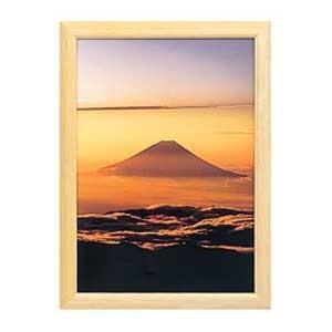 FUJIFILM（フジフイルム） お取り寄せ フジカラー フォトフレーム 高級