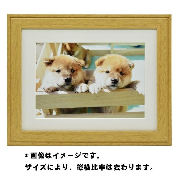 高級額縁のみ　ケース付　9点 FUJIFILM お取り寄せ フジカラー フォトフレーム 高級 おしゃれ