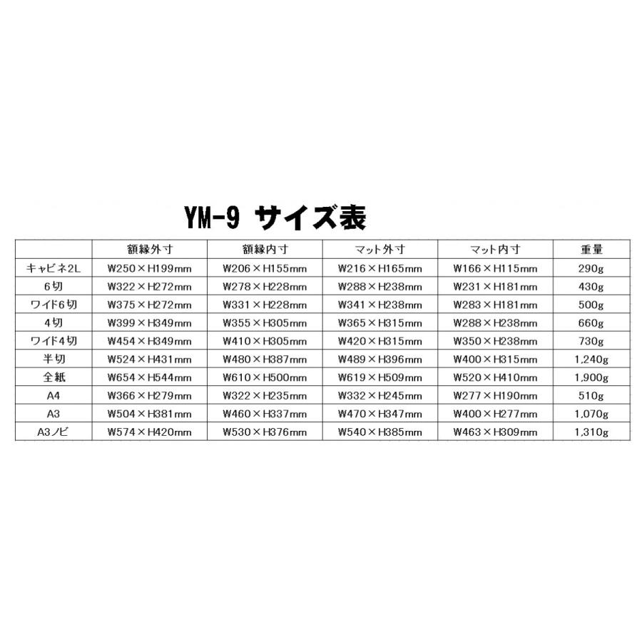高級額縁のみ　ケース付　9点 フランジ足付フリーサイズケース 防水タイプ EXWFSシリーズ