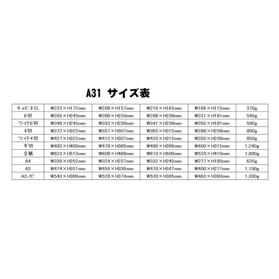 お取り寄せ フジカラー フォトフレーム シンプル おしゃれ 壁掛け 額縁 展示用  富士フィルム アルミ額 A31 ブラック A4サイズ｜mono-pocket｜02