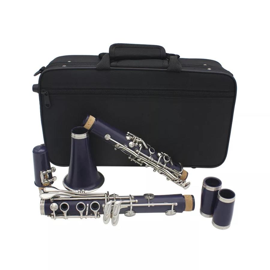 ディズニープリンセスのベビーグッズも大集合 クラリネット 青 Abs 17キーbbフラットソプラノ双眼 クラリネット 到着まで4 6週間掛かります 同意します Www Equimax Com Do