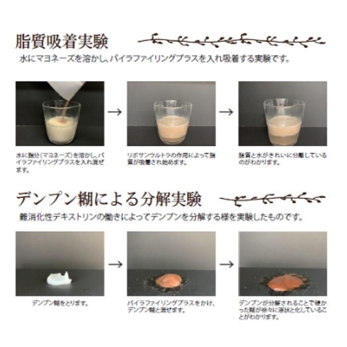 PYR FILING PLUS パイラ ファイリング プラス 45包入り【2箱 PYR FILING PLUS パイラ ファイリング プラス 45包入り【2箱