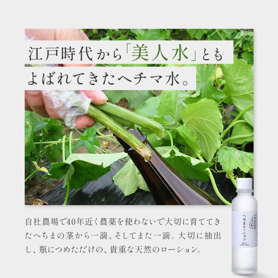 へちまここち ヘチマ水 国産 化粧水 120ml ヘチマローション 無添加