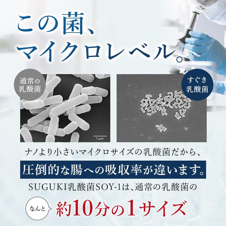 豆乳ヨーグルト種菌 5包入り 豆乳ヨーグルト ヨーグルト菌 メーカー 作り方 パック 1.5g×5包 100%植物性乳酸菌 すぐきヨーグルト  国産料 手作り 無添加｜mono-yell｜07