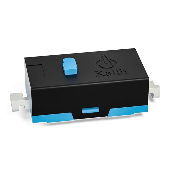 Kailh D2LS-21 SMD ミニ マイクロスイッチ ブルードット ゲーミング マウス用 ピン押 ボタン形 ゲームマウス用 4個 |  | 01