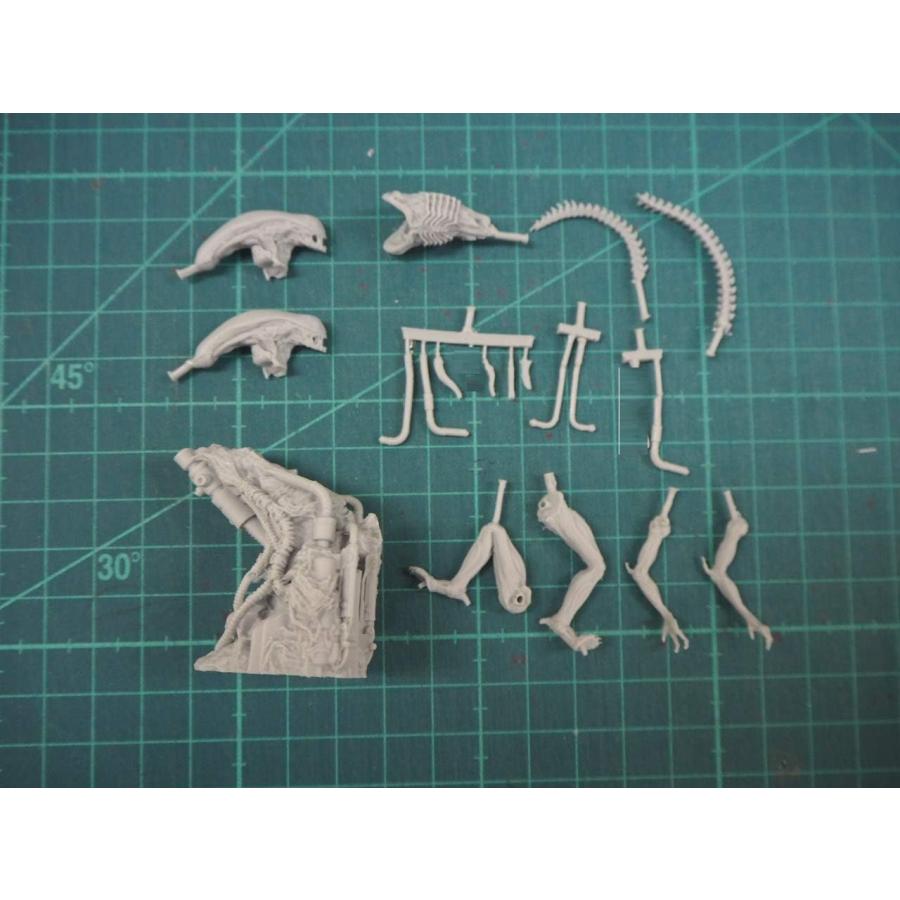 1/22 80mm エイリアン ウォーリアー 未塗装 レジン製 組み立て キット