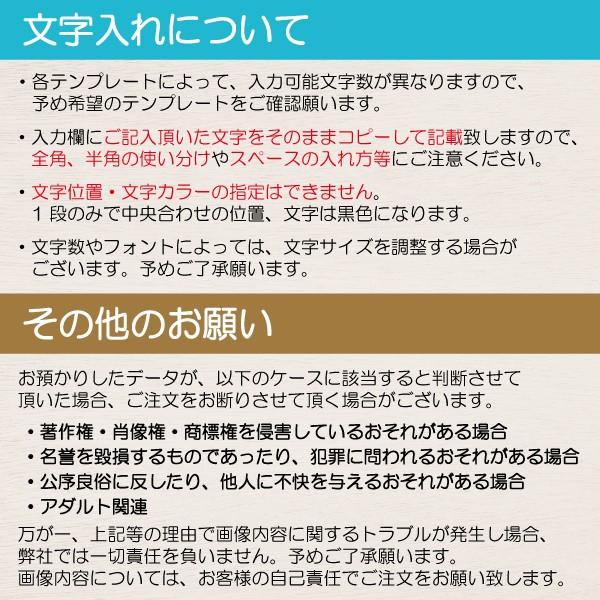 クリアホルダー クリアファイル 名入れ A4 写真入り 名前入り