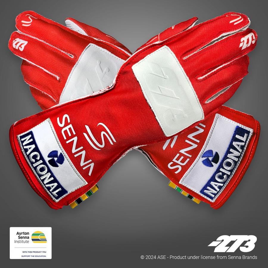 4月再入荷予定 注文予約 -273 レーシンググローブ AYRTON SENNA 4月再入荷予定 注文予約 -273 レーシンググローブ AYRTON SENNA