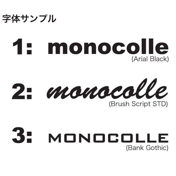 FMV Plus ミラーバイザー 名入れ加工 納期3日〜1週間程（新品