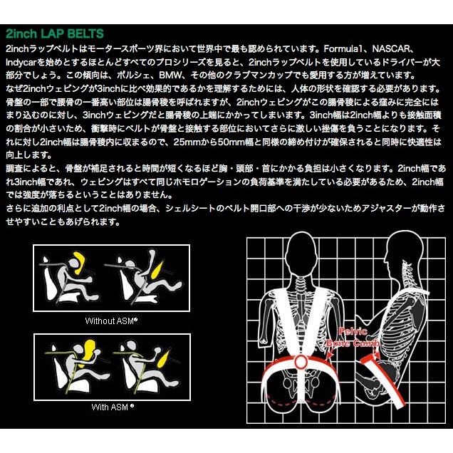 TAKATA タカタ レーシングハーネス 4点式 RACE4 N SNAP FIA公認8853