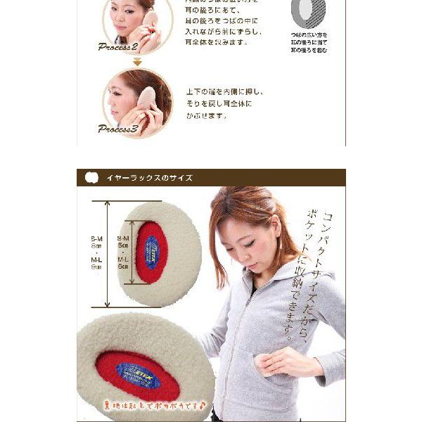 earlux イヤーラックス ケーブルSM・グレー |  | 03