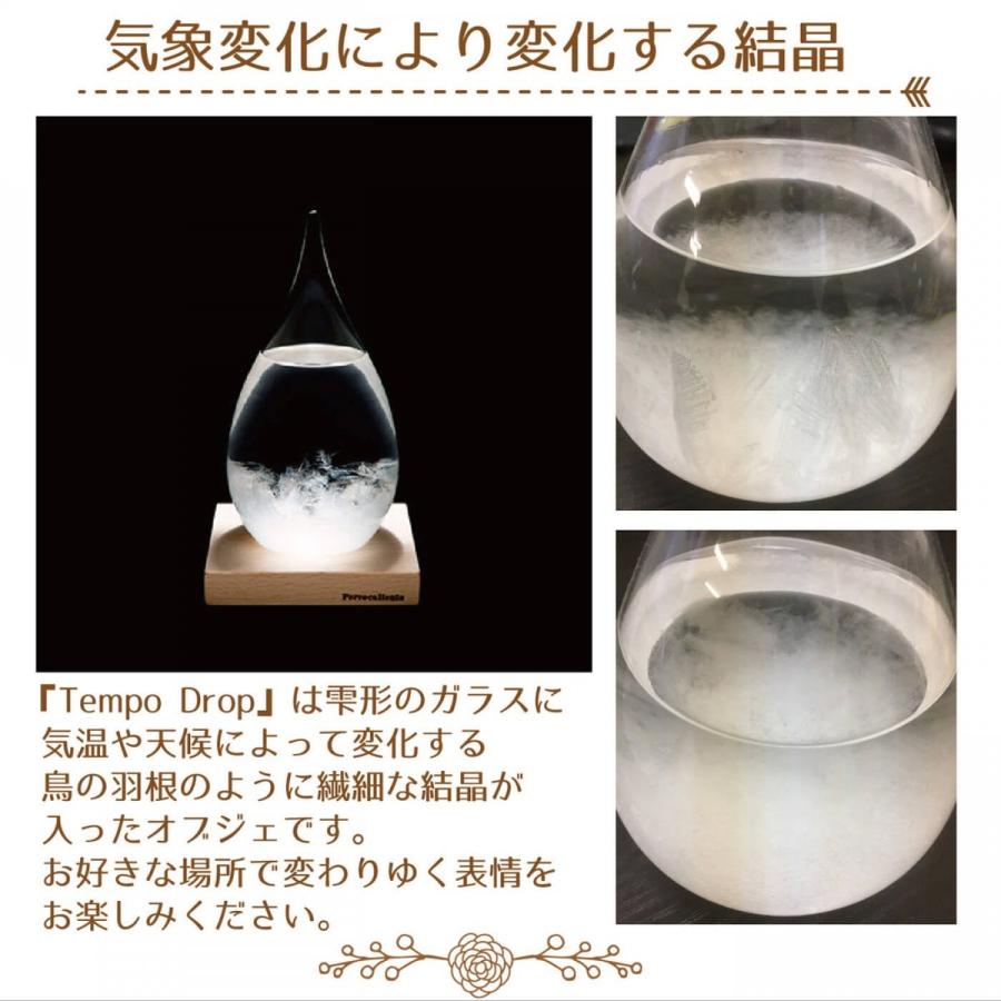 テンポドロップ 100percent Tempo drop 送料無料 ストームグラス プレゼントに喜ばれるおしゃれなしずく型のインテリア |  | 03