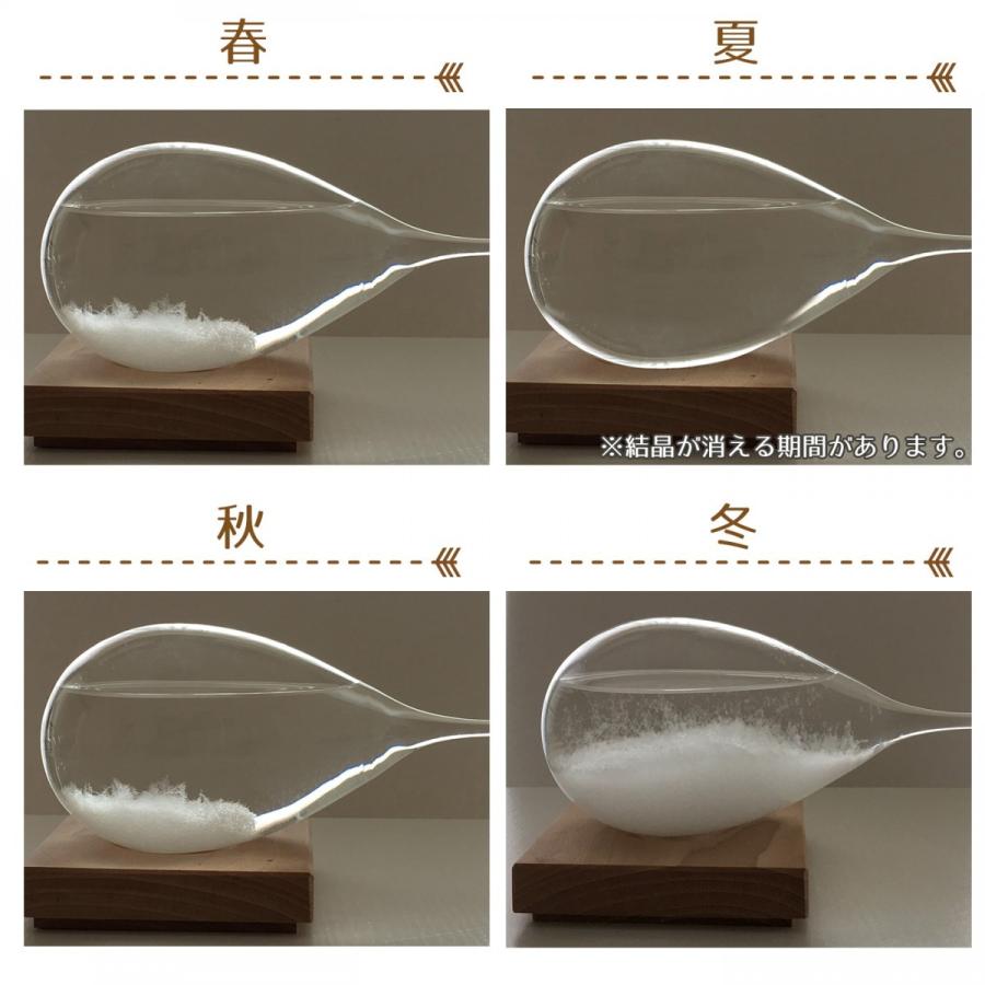 テンポドロップ 100percent Tempo drop 送料無料 ストームグラス プレゼントに喜ばれるおしゃれなしずく型のインテリア |  | 06