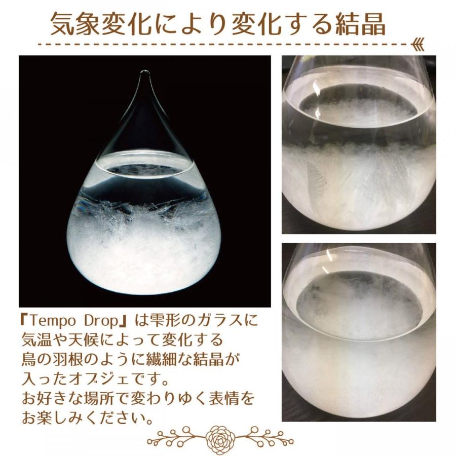 テンポドロップミニ 100percent Tempo drop mini 送料無料 ストームグラス プレゼントに喜ばれるおしゃれなしずく型のインテリア |  | 03