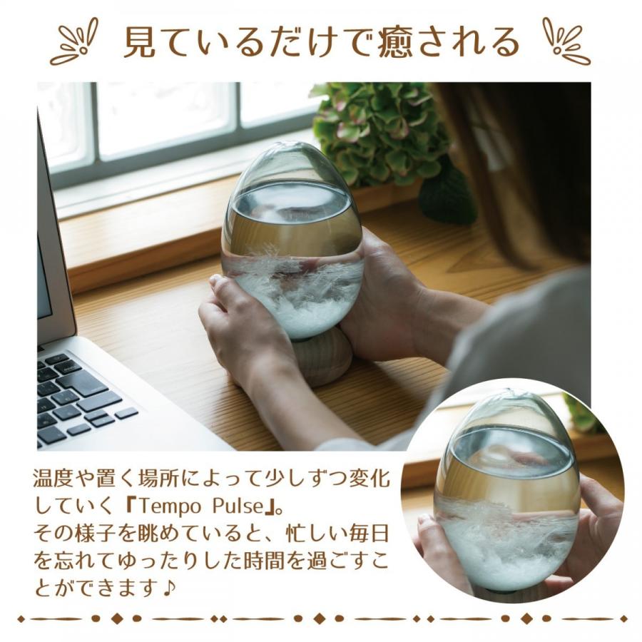 テンポパルスドーン 100percent Tempo Pulse Dawn テンポドロップ 送料無料 ストームグラス プレゼントに喜ばれるおしゃれなしずく型のインテリア |  | 01