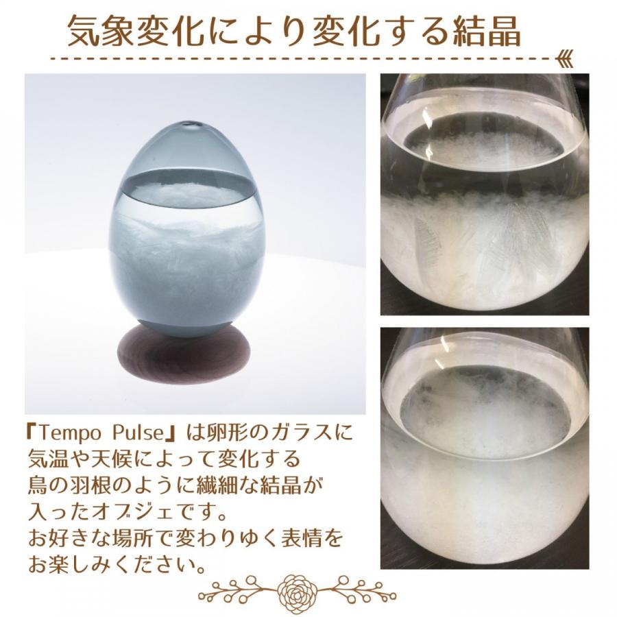 テンポパルスドーン 100percent Tempo Pulse Dawn テンポドロップ 送料無料 ストームグラス プレゼントに喜ばれるおしゃれなしずく型のインテリア |  | 03
