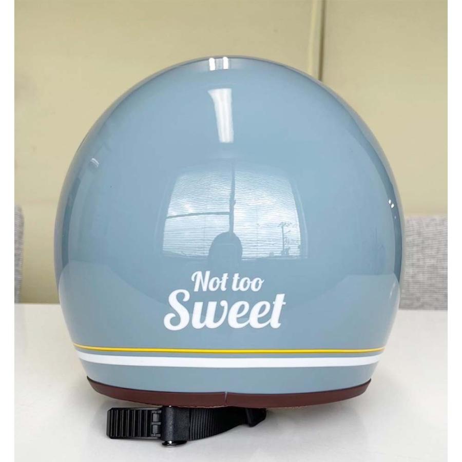 リード工業 LEAD レイトオリジナル レディース バイク用 ジェット