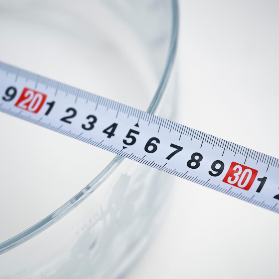 ティファニー ボウル クリスタル フローラ＆ファウナ TIFFANY&Co. ティファニー フローラ＆ファウナ TIFFANY & CO