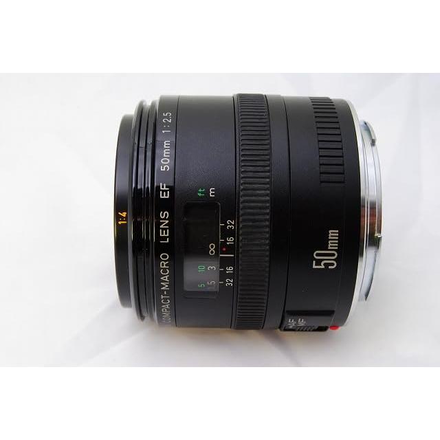 Canon 単焦点マクロレンズ EF50mm F2.5 コンパクトマクロ フルサイズ対応｜monoeliq｜05