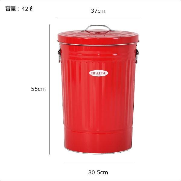 ゴミ箱 おしゃれ 45リットル対応 45l対応 キッチン用 分別 屋外 大型