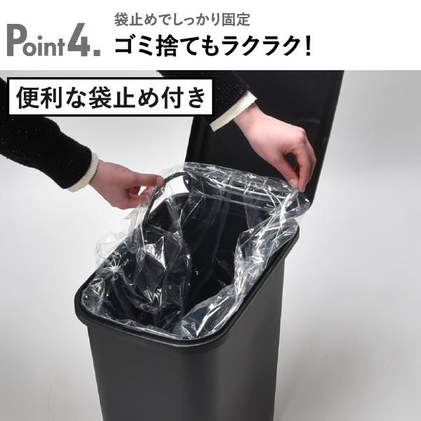 平和工業 ゴミ箱 おしゃれ キッチン 分別 蓋付きゴミ箱 ダストボックス