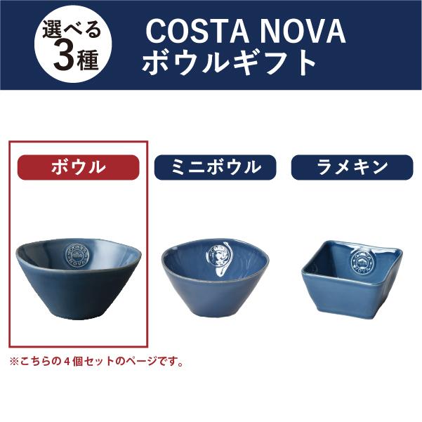 NOVA（COSTA NOVA） コスタノバ 食器 ギフトセット ボウル ミニボウル