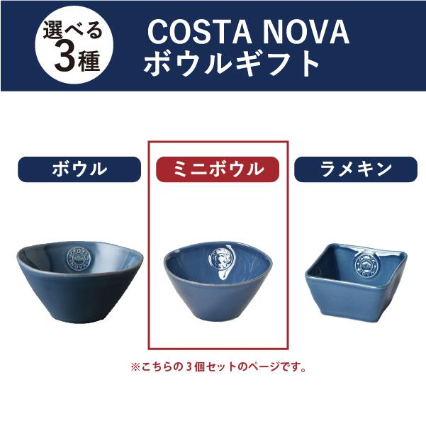 NOVA（COSTA NOVA） コスタノバ 食器 ギフトセット ボウル ミニボウル