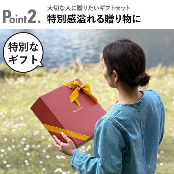NOVA（COSTA NOVA） コスタノバ 食器 ギフトセット 北欧 来客用
