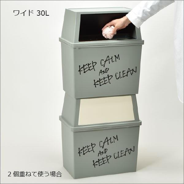 平和工業 ゴミ箱 スタッキング 分別 ふた付き フロントオープン 45