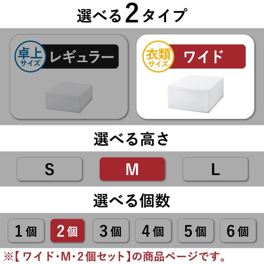 RISU（リス） 収納ボックス 衣装ケース 収納ケース おしゃれ コンテナ