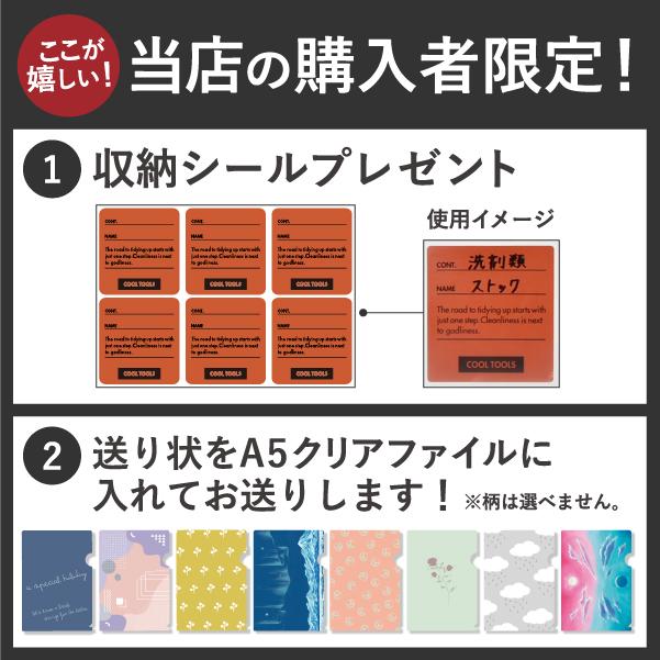 RISU（リス） 収納ボックス 衣装ケース 収納ケース おしゃれ コンテナ