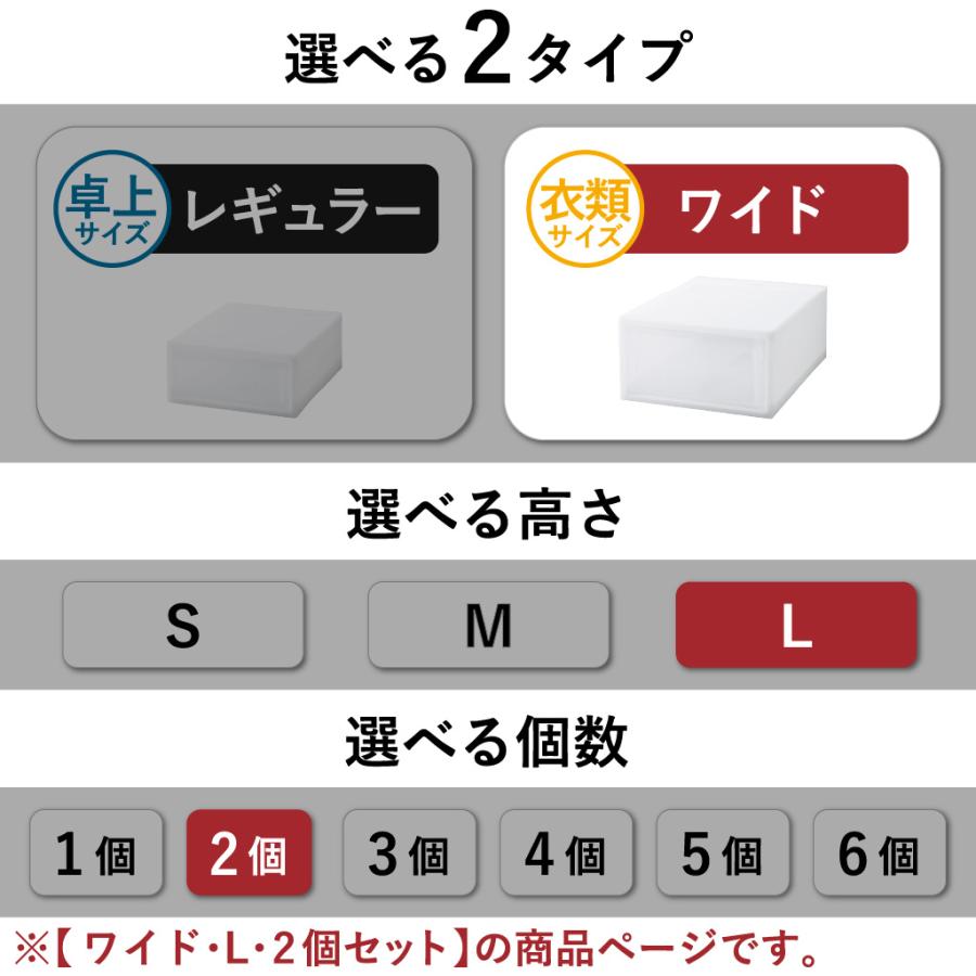 RISU（リス） 収納ボックス 衣装ケース 収納ケース おしゃれ コンテナ