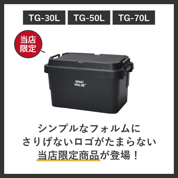 RISU（リス） 収納ボックス フタ付き コンテナボックス 収納ケース