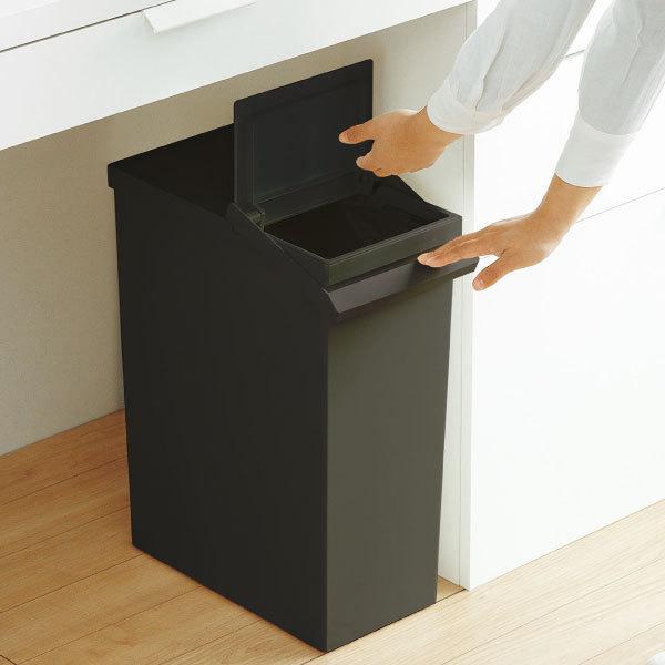 ゴミ箱 おしゃれ キッチン 分別 ふた付き スリム 収納 30リットル 幅20cm ダストボックス リビング インテリア雑貨 北欧 リス TOSTE トステ レバーオープン 30L|monogallery|06