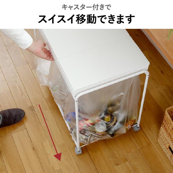 ごみ箱 分別 45L 45リットル キッチン スリム 縦型 ふた付き ダストボックス ペットボトル プラ 缶 袋いっぱい RISU 2分別フレームダストワゴン フタ付き