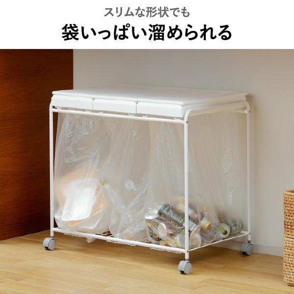 RISU（リス） ごみ箱 分別 45L 45リットル キッチン スリム 縦型 ふた